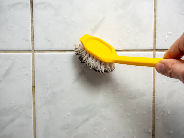 Best Mold Removal Near Me  in Morada, CA