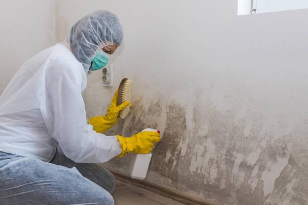 Best Crawl Space Mold Removal  in Morada, CA