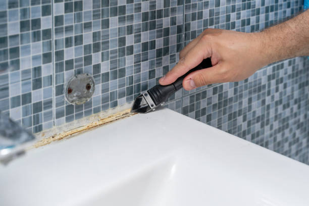 Best Mold Remediation  in Morada, CA