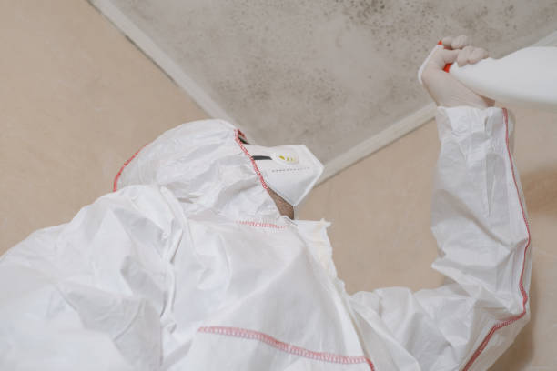 Best Mold Testing  in Morada, CA