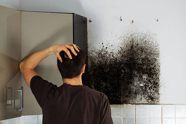 Best Home Mold Removal  in Morada, CA